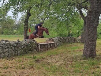un-salto-di-Luca-Riccardi-cop