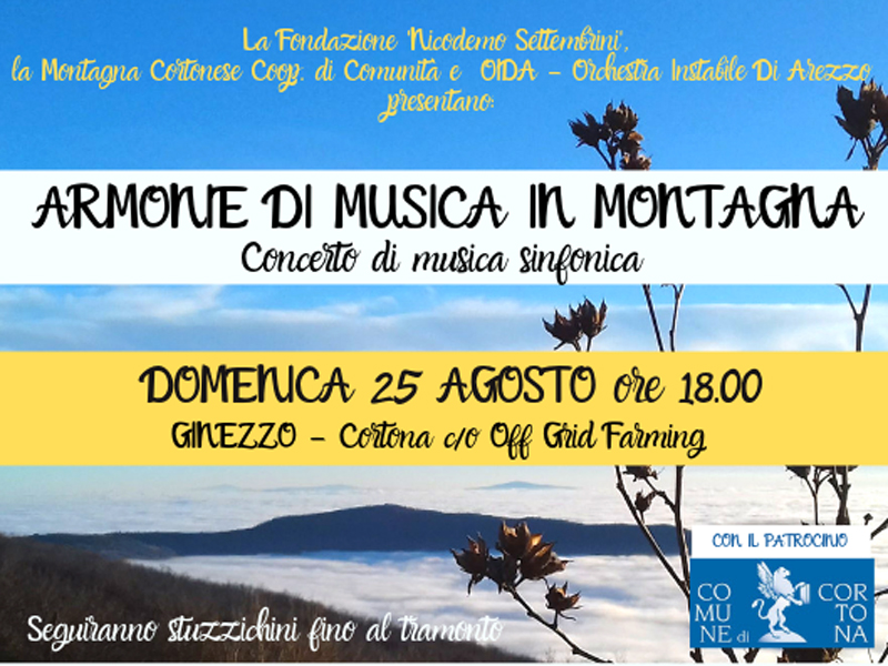 Concerto-Ginezzo-locandina-copertina