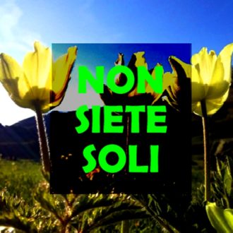 01. Logo Non siete soli
