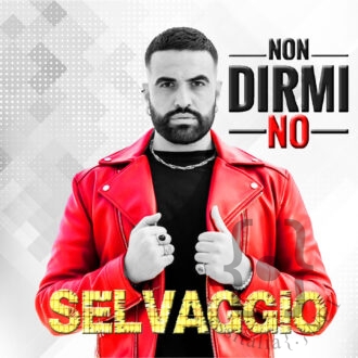 01. Cover - Non dirmi no-in