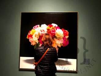 Luciano_Ventrone-cop