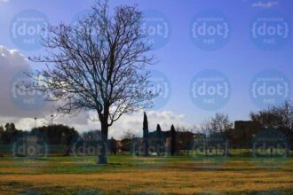 Villa-De-Sanctis_Villaggio-De-Sanctis-2022-in