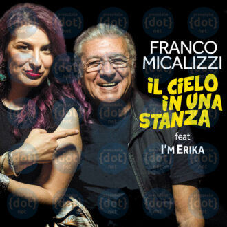 I'M-ERIKA-Il-cielo-in-una-stanza---copertina-per-le-radio-in