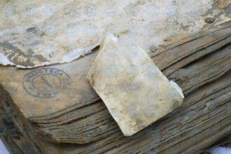 Allegato-senza-nome-in