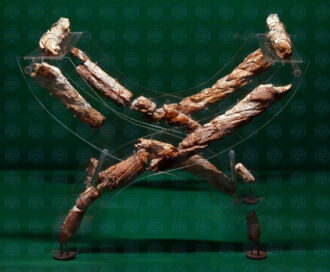 Nelle_terre_dei_Rasna-in