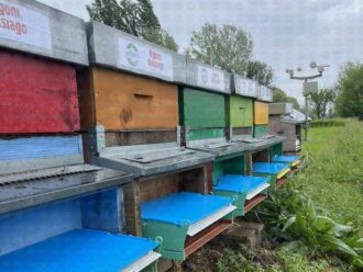 ARNIE-RIGONI-DI-ASIAGO-cop