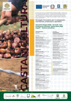 locandina_dss_cast-in