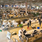 FIERE-ZOOTECNICHE-cop