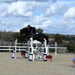 andrea-guspini-clizia-de-sa-pittada-cop