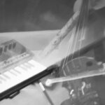 Copertina “Feeling Bleeding Rising Shining”, il nuovo album di inDAroots Project