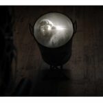 Proiezione sul latte_foto Sandro mele 2010