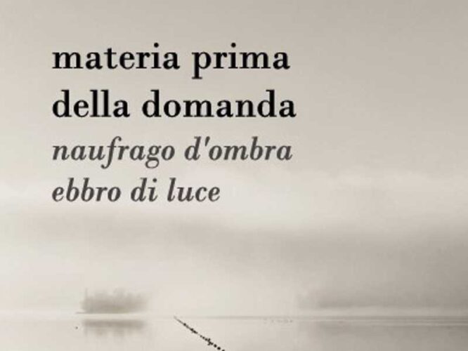 Materia prima della domanda-cop